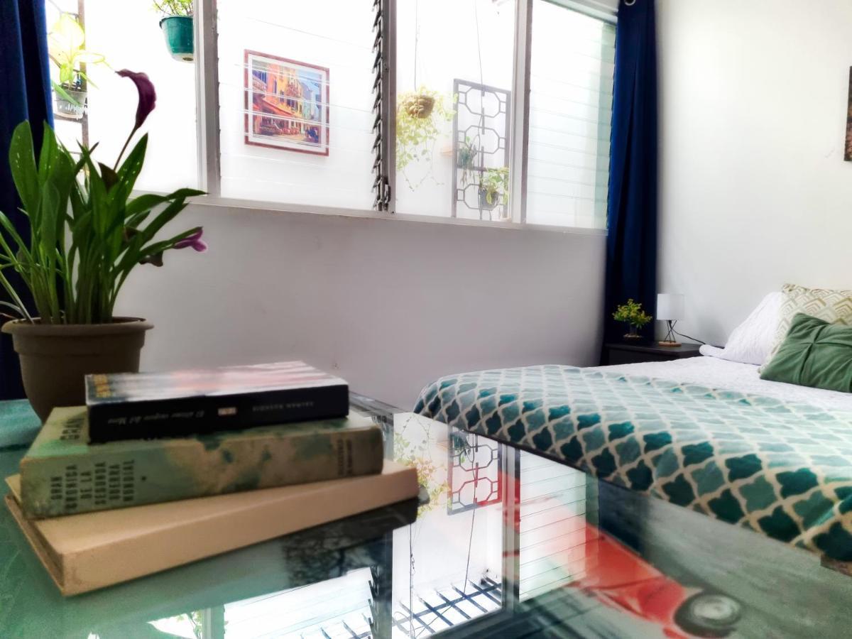Hotel Casa Jardin Del Mango San José Zewnętrze zdjęcie