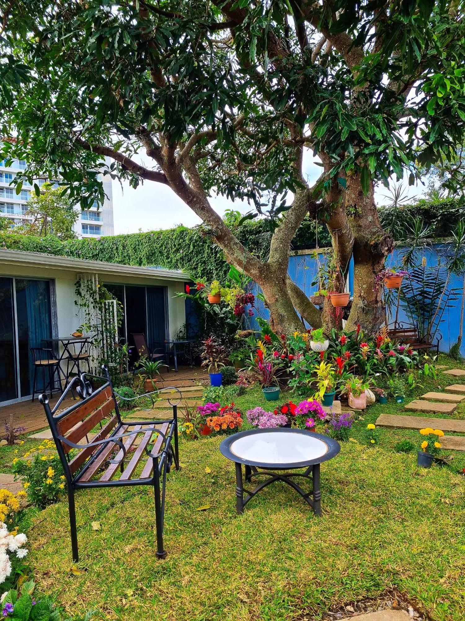 Hotel Casa Jardin Del Mango San José Zewnętrze zdjęcie