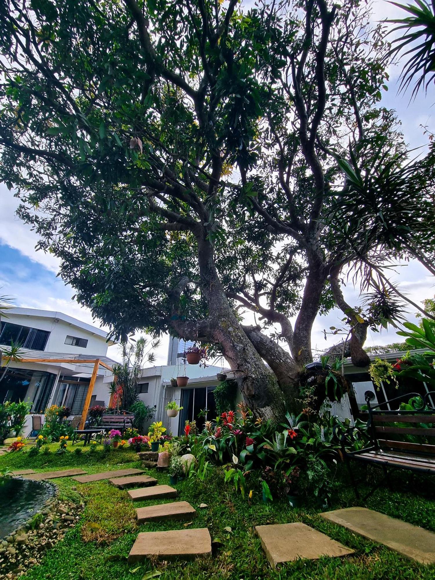 Hotel Casa Jardin Del Mango San José Zewnętrze zdjęcie